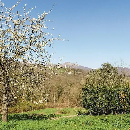 Casa Gialla 아파트